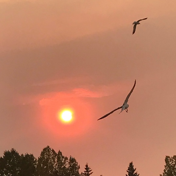 Meet your Posher, Karla - Picture 1 of 1